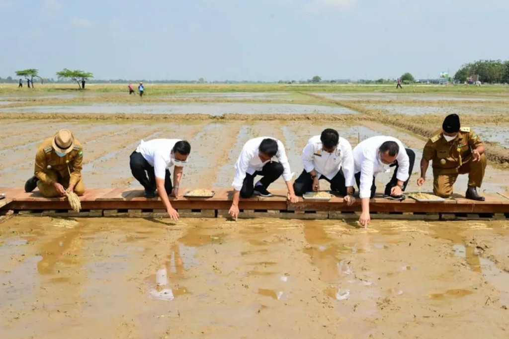 Lebih lanjut, Presiden menekankan bahwa benih memiliki peranan yang sangat penting dalam menaikkan produksi beras nasional di setiap hektarnya. Jika betul-betul didampingi oleh para Penyuluh Pertanian Lapangan (PPL), Presiden yakin lahan pertanian yang dikelola akan menghasilkan panen yang baik.