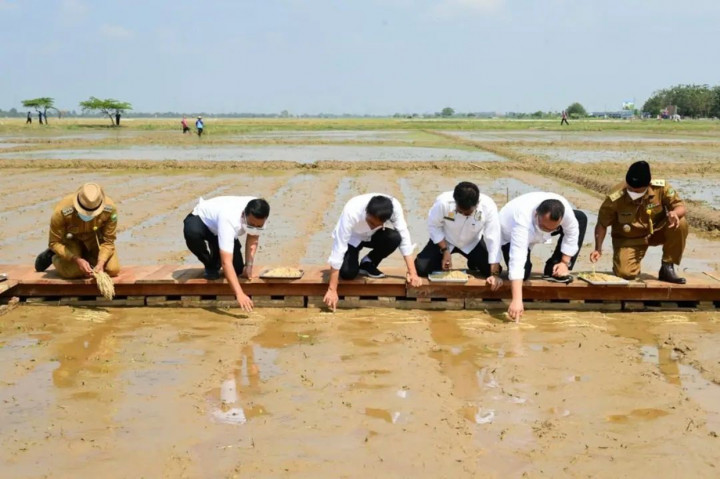 Lebih lanjut, Presiden menekankan bahwa benih memiliki peranan yang sangat penting dalam menaikkan produksi beras nasional di setiap hektarnya. Jika betul-betul didampingi oleh para Penyuluh Pertanian Lapangan (PPL), Presiden yakin lahan pertanian yang dikelola akan menghasilkan panen yang baik.