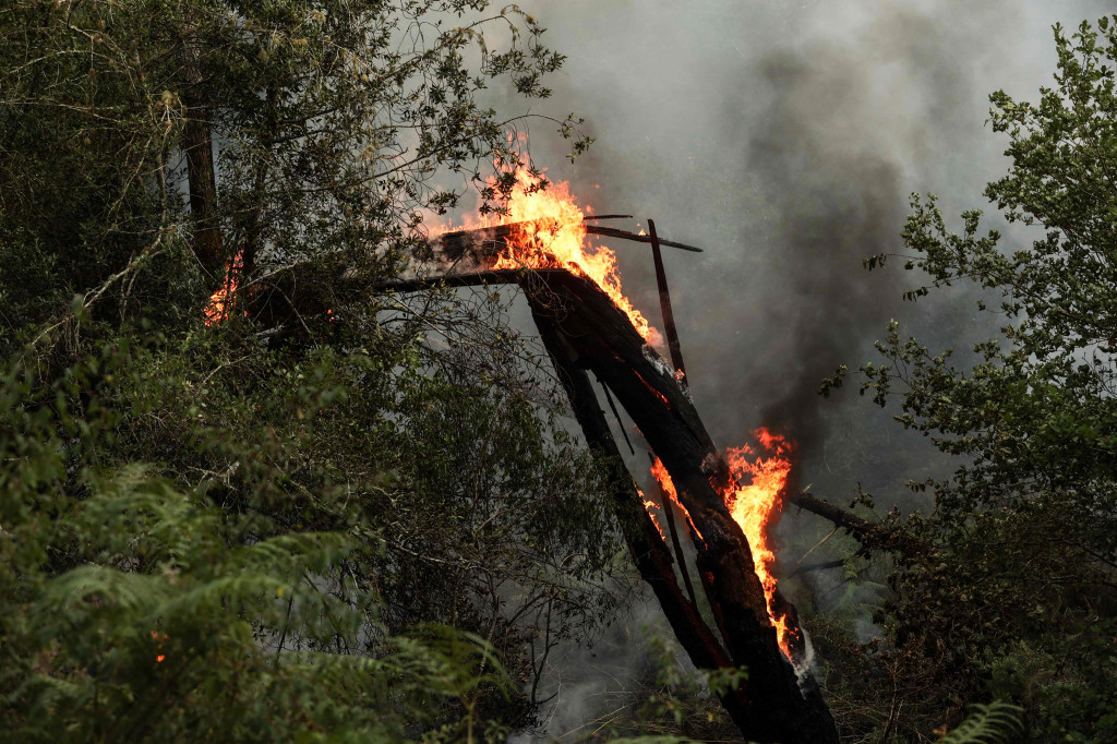 Kebakaran hutan membakar vegetasi di Landiras, Prancis barat daya, Rabu, 13 Juli 2022. Kawasan ini sekitar 620 km selatan Ibu Kota Paris.