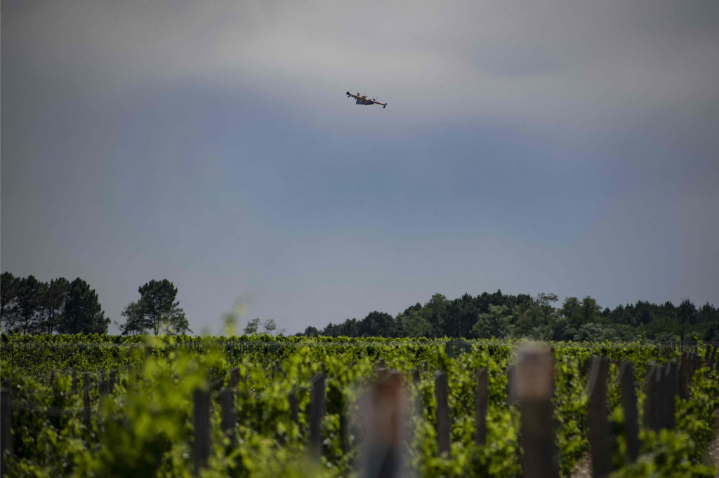 Sekitar 600 petugas damkar dan pesawat pemadam kebakaran Canadair dikerahkan untuk memadamkan api.