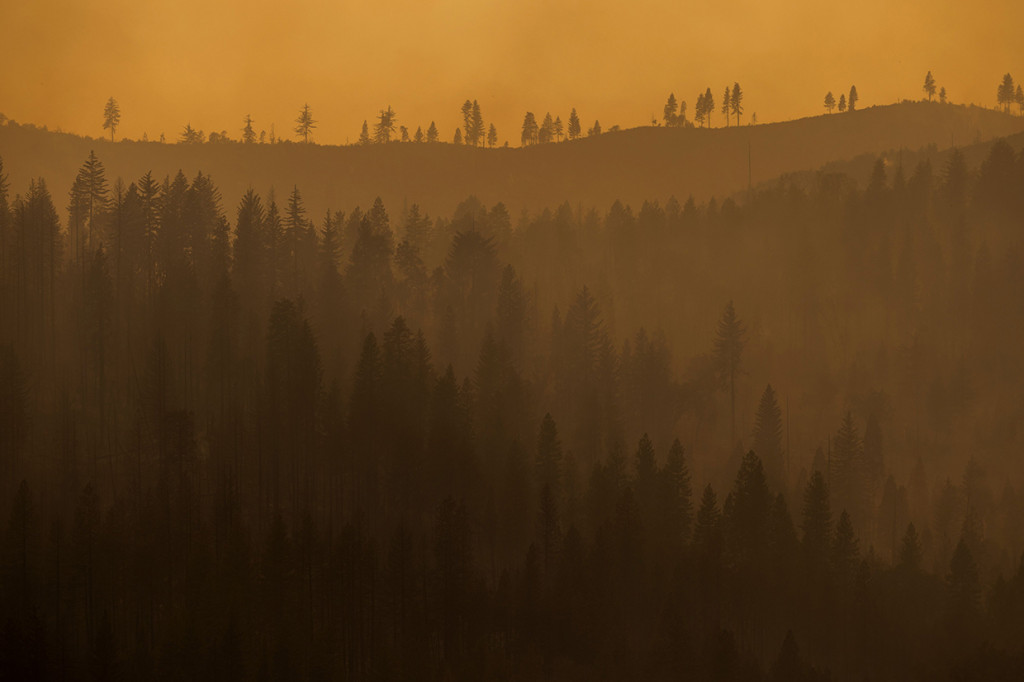 Kebakaran hutan di California, Amerika Serikat (AS) terus meluas dan menghanguskan ribuan hektare lahan serta memaksa warga sekitar untuk dievakuasi di tengah gelombang panas yang telah memecahkan rekor temperatur udara.
