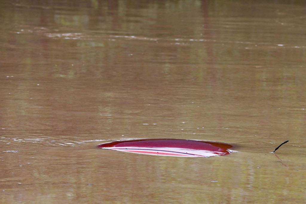 Beshear mengatakan bahwa responden telah menyelamatkan sekitar 20 dan 30 orang melalui udara. Sebelumnya, dia menggambarkan orang-orang yang berdiri di atas atap atau memanjat pohon untuk menghindari banjir sambil menunggu penyelamatan.