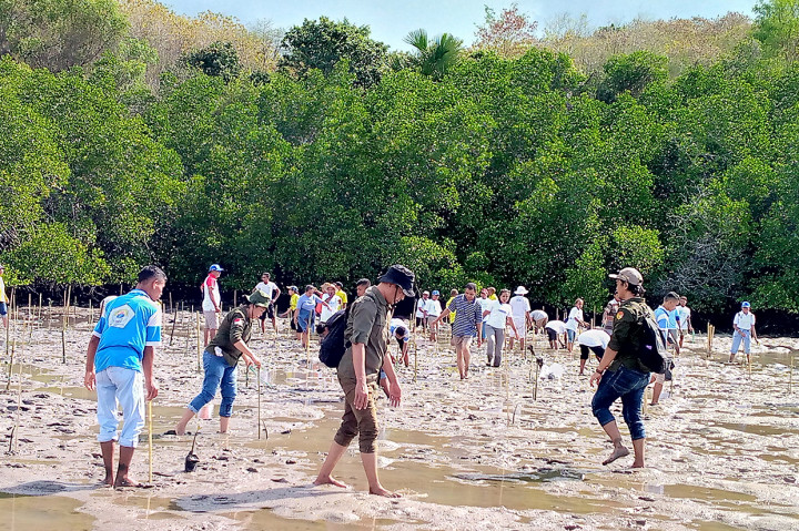 Vikep Reo keuskupan Ruteng Romo Herman Ando Pr yang pimpin langsung penanaman bakau,Rabu, 10 Agustus 2022, di Labuan Bajo menegaskan gereja dan semua manusia berkewajiban menyelamatkan alam dan isinya dari ancaman bencana akibat rendahnya kesadaran menjaga konservasi demi keseimbangan alam ekosistem.