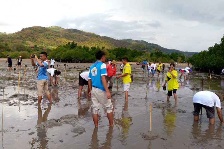 Ribuan anakan Bakau ditanam oleh umat keuskupan Ruteng di Labuan Bajo wilayah Ketentang dalam menjaga keseimbangan alam ekologi dari ancaman bencana abrasi pantai dan tsunami.