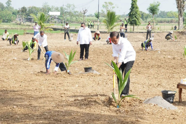 Presiden Joko Widodo (kanan) menanam bibit pohon kelapa genjah bersama petani di lahan pertanian Giriroto, Ngemplak, Boyolali, Jawa Tengah, Kamis, 11 Agustus 2022. 