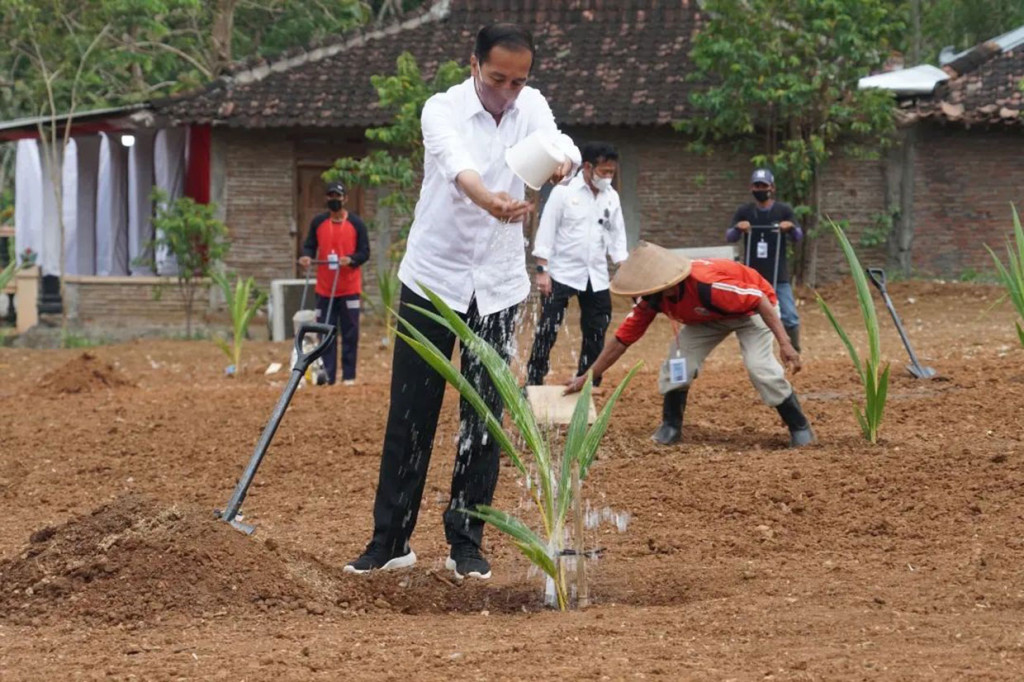 Pemerintah menargetkan penanaman satu juta batang kelapa genjah di beberapa daerah di Indonesia dengan memanfaatkan lahan-lahan tidak produktif sebagai upaya membangun ketahanan pangan.