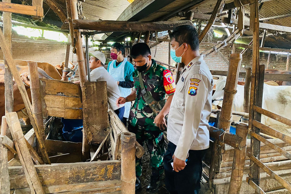 Kapolsek Porong Kompol Rochsulullah mengatakan, kegiatan vaksinasi pada hewan ternak di wilayahnya berjalan lancar. Sebelum dilakukan penyuntikan juga sudah dilakukan pemeriksaan kondisi hewan.