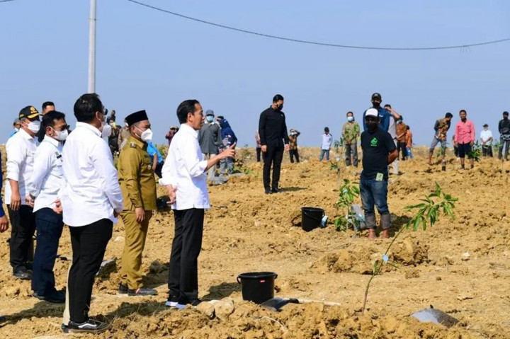 Dia berharap lumbung pangan tersebut dapat menghasilkan produksi mangga tidak hanya untuk keperluan di dalam negeri. Namun, juga keperluan ekspor ke sejumlah negara di dunia.