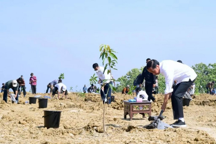 Jokowi menilai lumbung pangan berbasis mangga di Kabupaten Gresik ini sudah tertata dengan baik. Kendati begitu, dia berharap adanya pendampingan kontrol kualitas guna memastikan kualitas produk sesuai dengan standar yang ditetapkan para pembeli.