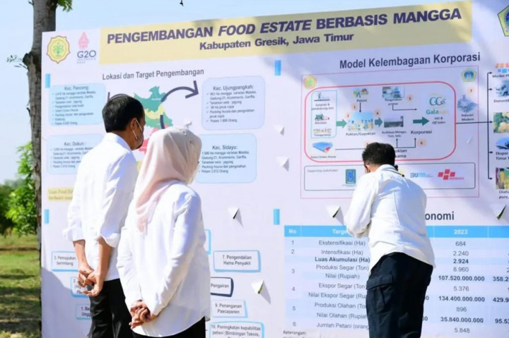 Selain itu, Jokowi mengatakan food estate berbasis mangga ini bakal dilakukan di daerah lain. Syaratnya, kata Jokowi, adalah terdapat lahan marginal yang cocok untuk ditanami mangga.