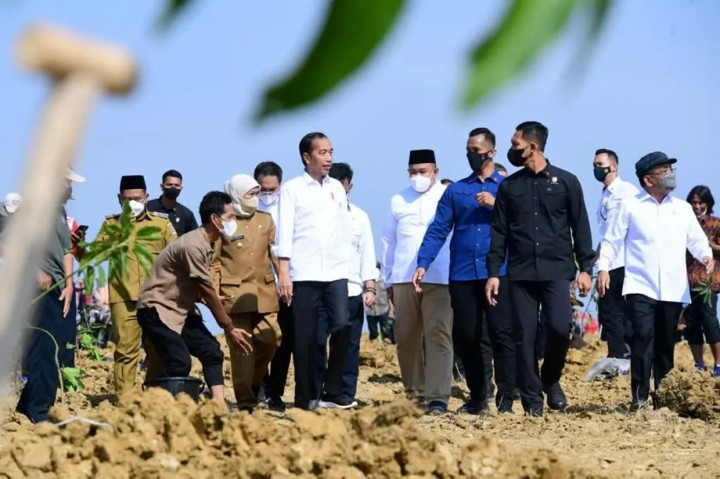 Presiden Joko widodo meluncurkan program lumbung pangan atau food estate berbasis mangga dan taksi alsintan (alat dan mesin pertanian) di Kabupaten Gresik, Jawa Timur, Senin, 22 Agustus 2022. Lumbung pangan yang diresmikan ini memililiki luas 1.000 hektare.