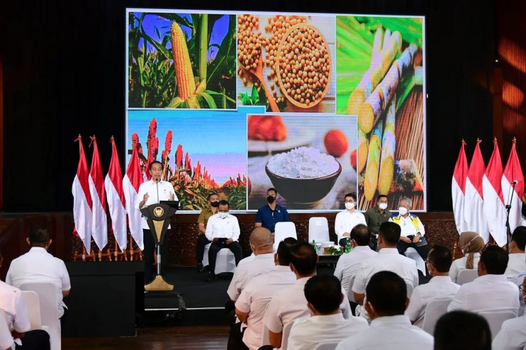 Menurut Presiden Jokowi, Indonesia masih mengimpor 11 juta ton gandum, karena komoditas pangan tersebut tidak bisa ditanam di Tanah Air, tetapi ada opsi untuk menggencarkan budi daya komoditas yang bisa menjadi pencampur.
