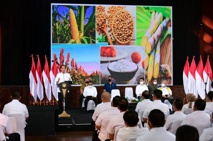 Menurut Presiden Jokowi, Indonesia masih mengimpor 11 juta ton gandum, karena komoditas pangan tersebut tidak bisa ditanam di Tanah Air, tetapi ada opsi untuk menggencarkan budi daya komoditas yang bisa menjadi pencampur.
