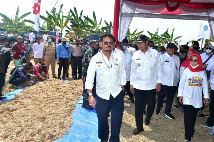 Karena itu, Mentan mengajak masyarakat untuk mengembangkan tanaman sorgum sebagaimana makanan strategis lainya. Apalagi, tanaman ini juga memiliki potensi besar terhadap kebutuhan pangan dunia. 