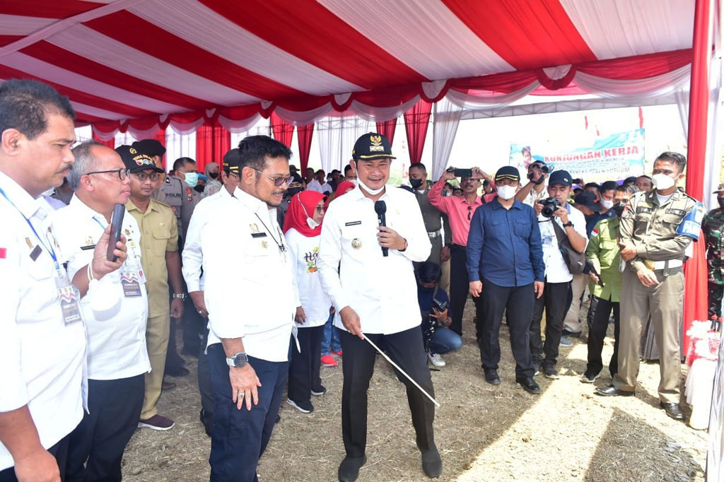 Mentan berharap penanaman ini bisa diperluas menjadi 3.000 hektare dari yang tadinya 200 hektare, kemudian ditambah lagi menjadi 10.000 hektare sehingga sorgum benar-benar menjadi komoditas strategis Indonesia.