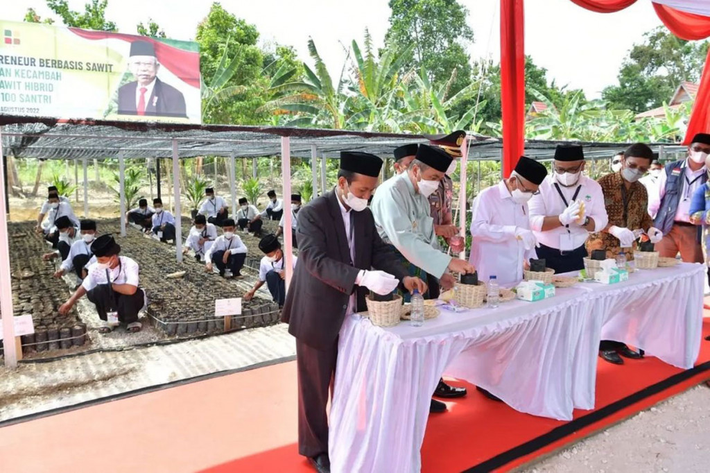 Wakil Presiden Ma'ruf Amin menanam kecambah kelapa sawit hibrid berkualitas unggul bersama 100 santri Pondok Pesantren Teknologi Riau di Jalan Lintas Sumatera, Kacamatan Siak Hulu, Kabupaten Kampar, Riau, Kamis, 25 Agustus 2022.