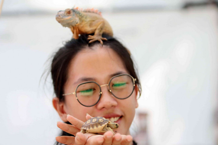 Pameran yang mengambil tema 'Kolaborasi Ruang Ketiga' tersebut menampilkan berbagai jenis tanaman dan beragam hewan peliharaan. 