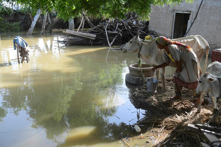 Banjir Pakistan, disebabkan oleh hujan muson dan disebut diperparah oleh pencairan gletser yang lebih cepat.
