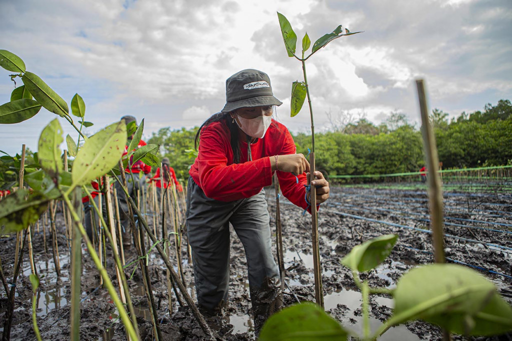 Kegiatan ini diharapkan dapat menginspirasi masyarakat khususnya generasi muda dan memastikan konservasi mangrove Indonesia tumbuh secara berkelanjutan untuk mengantisipasi adanya perubahan iklim, serta mendukung upaya percepatan rehabilitasi mangrove seluas 600.000 hektar dari pemerintah hingga 2024.  