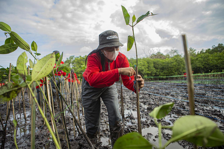 Kegiatan ini diharapkan dapat menginspirasi masyarakat khususnya generasi muda dan memastikan konservasi mangrove Indonesia tumbuh secara berkelanjutan untuk mengantisipasi adanya perubahan iklim, serta mendukung upaya percepatan rehabilitasi mangrove seluas 600.000 hektar dari pemerintah hingga 2024.  