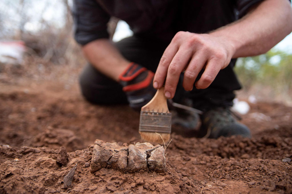 Para ilmuwan di Zimbabwe telah menemukan sisa-sisa spesies dinosaurus baru -- tertua yang pernah ditemukan di Afrika -- yang menjelajahi bumi sekitar 230 juta tahun lalu.