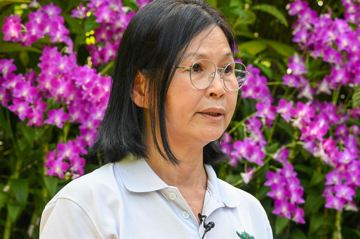 Whang Lay Keng, kurator di Taman Anggrek Nasional Singapura menyatakan, anggrek hibrida, dengan kelopak Dresden-kuning bengkok dan bibir hijau uranium, dinamai untuk menghormati ratu ketika dia mengunjungi Singapura pada 1972.