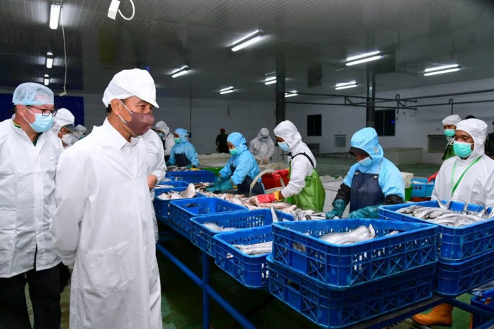 Presiden Joko Widodo dan Ibu Iriana Joko Widodo meninjau unit pengolahan ikan di PT Samudera Indo Sejahtera, Kota Tual, Rabu, 14 September 2022. 