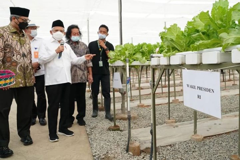 Ia juga mengemukakan tentang pengembangan model pertanian hidroponik dalam bentuk kecil di berbagai pesantren.