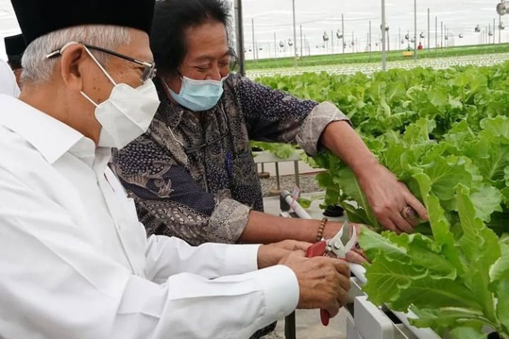 Ma'ruf Amin menyebutkan bahwa metode pertanian hidroponik dapat meningkatkan kualitas pangan bagi masyarakat.