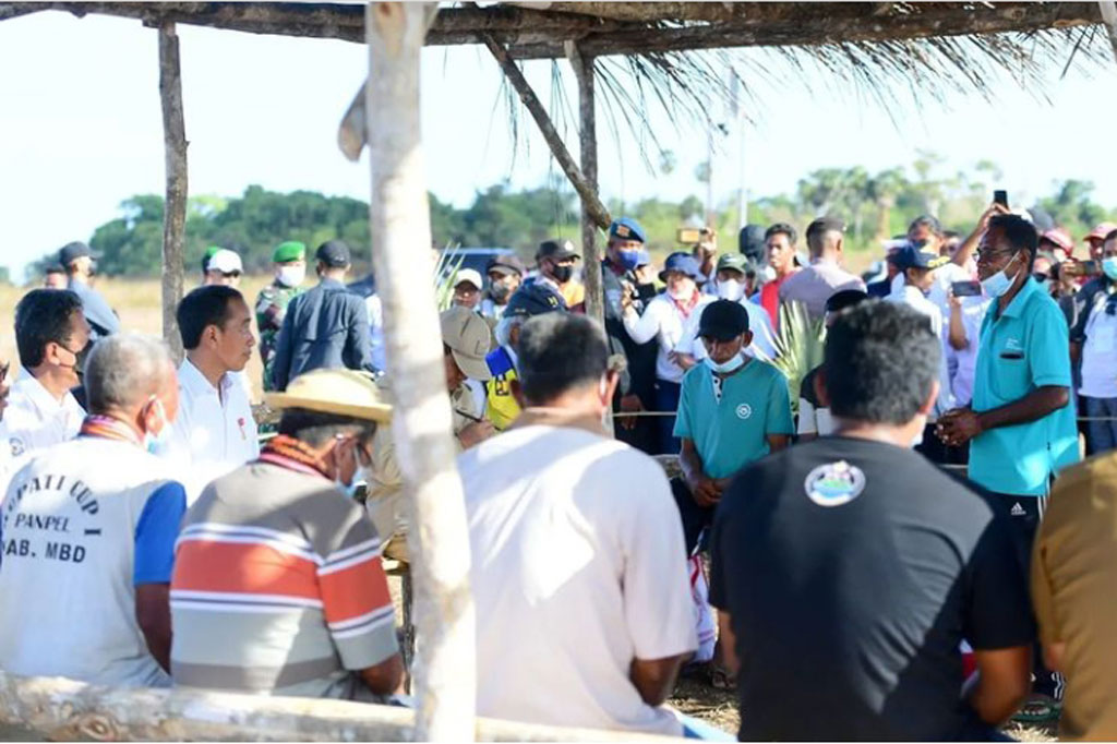 Presiden Joko Widodo (Jokowi) menyempatkan diri menyerap aspirasi dari sejumlah peternak kerbau yang ditemuinya di Desa Werwaru, Pulau Moa, Kabupaten Maluku Barat Daya, Maluku, Kamis, 15 September 2022.