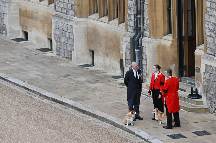 Namun ternyata tidak hanya manusia, anjing corgi kesayangan Ratu Elizabeth II dan seekor kuda poni kerajaan juga ikut memberikan penghormatan terakhir.