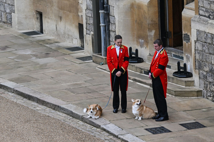 Anjing-anjing peliharaan Ratu Elizabeth II ini dikonfirmasi akan dirawat oleh salah satu anaknya, yaitu Pangeran Andrew, bersama sang mantan istri, Sarah Ferguson.