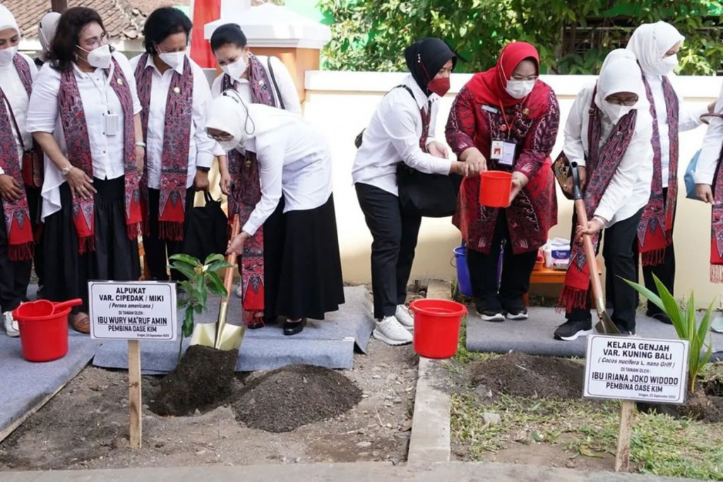 Ibu Iriana, Ibu Wury, dan Ibu Tri Tito Karnavian juga menanam pohon di halaman samping kantor kecamatan. Ibu Iriana menanam pohon kelapa genjah varian kuning bali, sedangkan Ibu Wury dan Ibu Tri menanam pohon alpukat varian cipedak.