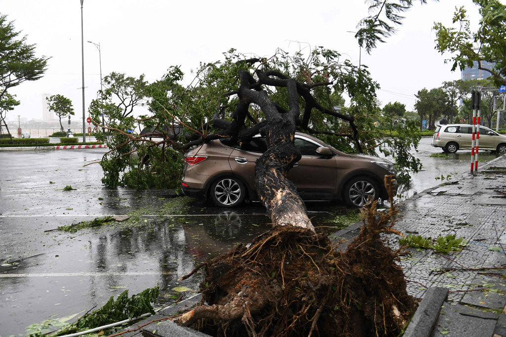 Di kota wisata Hoi An, Sungai Hoai hampir meluap, sementara atap rumah berserakan ke tanah dan pohon-pohon tumbang yang menimpa mobil dan memblokir jalan. Beberapa jalan di kota tua terendam air.
