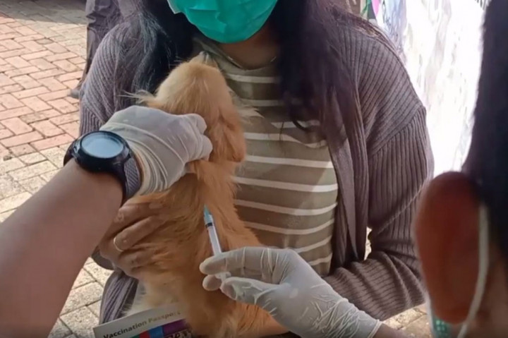 Memperingati hari rabies sedunia yang jatuh pada hari ini Rabu, 28 September 2022, Pemkot Jakarta Timur menggelar vaksin rabies gratis terhadap hewan peliharaan warga. Vaksinasi dilaksanakan di halaman Kantor Pemkot.