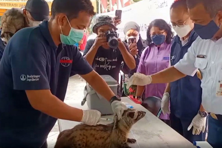 Ratusan warga yang memiliki hewan peliharaan seperti kucing dan anjing bahkan musang, mengantre untuk mendapatkan vaksin rabies gratis yang disediakan.