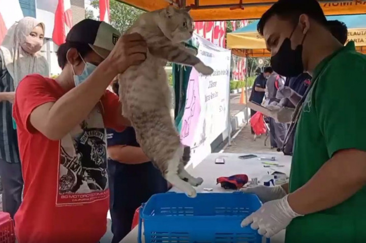 Sebelum dilakukan penyuntikan vaksin, hewan peliharaan tersebut terlebih dahulu didata dan dilakukan pengecekan suhu tubuh serta Kesehatannya. Setelah dinyatakan sehat, selanjutnya dokter hewan memberikan suntikan rabies.