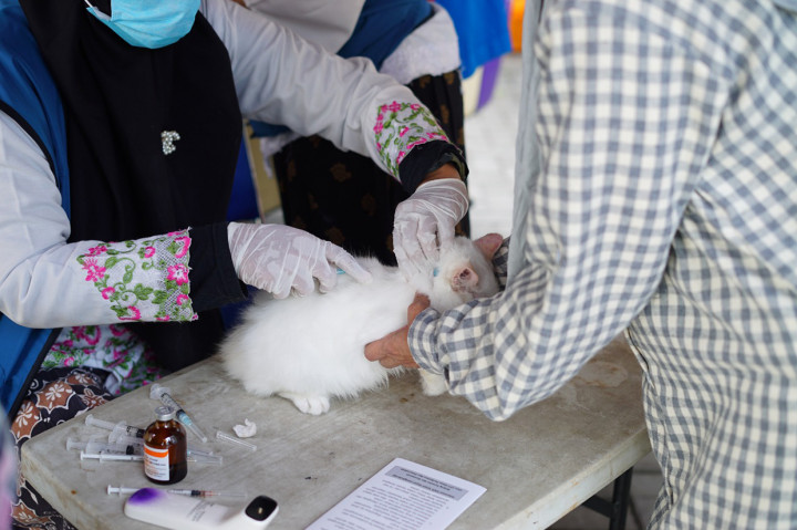 Memperingati World Rabies Day atau Hari Rabies Sedunia tahun 2022, Pemerintah Kabupaten Garut melalui Dinas Perikanan dan Peternakan menggelar vaksinasi secara gratis bagi Hewan Pembawa Rabies (HPR) dilakukan di Kantor Diskanak Garut, Jalan Patriot. 