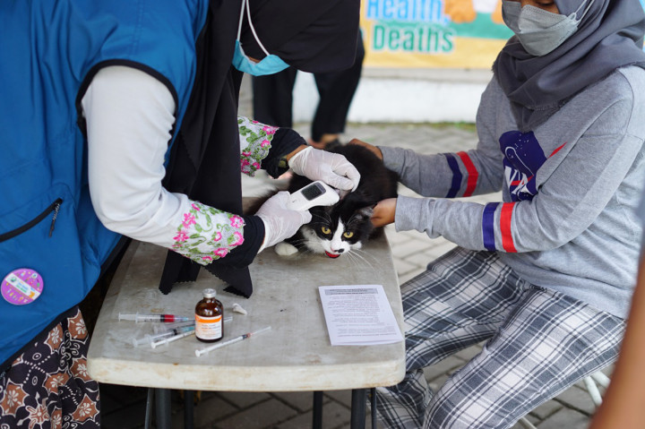 Kegiatan ini dapat meningkatkan kesadaran masyarakat mengenai bahayanya penyakit rabies serta kesadaran pemilik hewan untuk melakukan vaksinasi rabies, sehingga Kabupaten Garut bisa mencapai target bebas rabies di tahun 2030 nanti. 