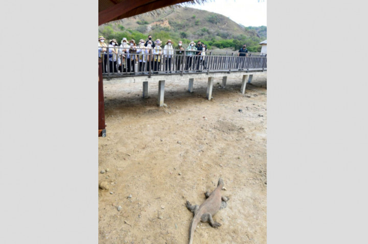 “Saya berpesan semoga Pulau Rinca ini untuk selalu terpelihara dan juga menjaga lingkungan,” ujar Ibu Iriana dalam keterangannya.