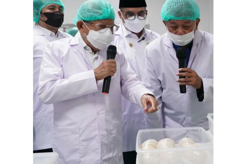 Sembari mencari jalan keluar, tutur Wapres, pemerintah saat ini akan terus memperbaiki pengelolaan industri sarang burung walet. 