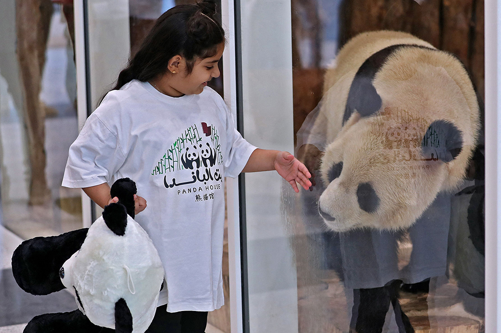 Negara itu mengharapkan sekitar 1,2 juta pengunjung datang melihat kegemasan pasangan itu salam perhelatan Piala Dunia selama sebulan. 