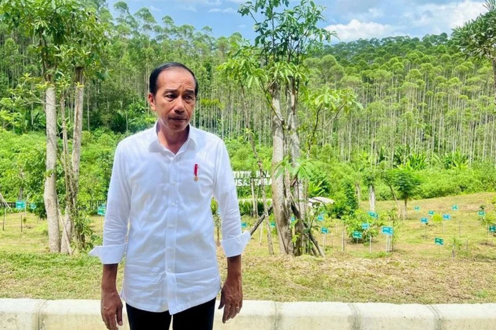 Presiden Joko Widodo menilai, pembangunan infrastruktur di Ibu Kota Nusantara (IKN) menunjukkan progres yang baik. 