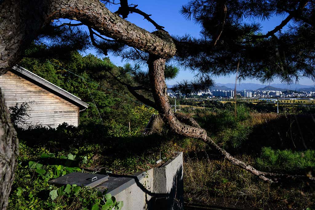 Pyongyang melakukan uji coba nuklir pertamanya pada tahun 2006, dan pemimpin Kim Jong Un baru-baru ini menggenjot program senjata yang dilarang oleh PBB, termasuk latihan pementasan yang diklaim sebagai simulasi menghujani Korea Selatan dengan nuklir taktis.