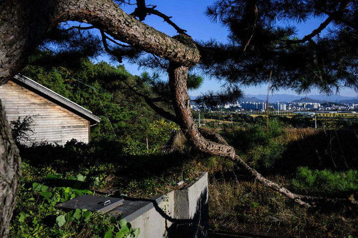 Pyongyang melakukan uji coba nuklir pertamanya pada tahun 2006, dan pemimpin Kim Jong Un baru-baru ini menggenjot program senjata yang dilarang oleh PBB, termasuk latihan pementasan yang diklaim sebagai simulasi menghujani Korea Selatan dengan nuklir taktis.