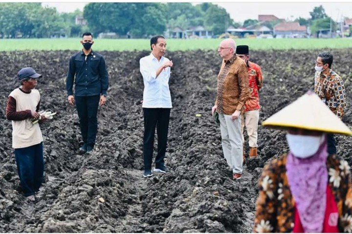 Presiden Jokowi menyebut sudah ada varietas unggulan baru tebu yang dapat mendorong produksi. Kepala Negara menuturkan bahwa penanaman tebu dengan varietas baru dalam waktu 26 hari menunjukkan hasil yang baik. Bahkan hasil penanaman di Tanah Air menunjukkan hasil yang lebih baik dibandingkan di Brasil.