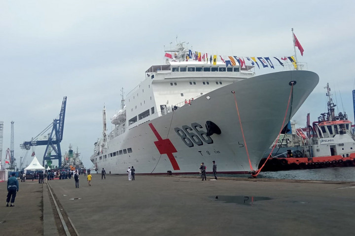 Sejauh ini Peace Ark telah 9 kali melakukan rangkaian misi kemanusiaan, mengunjungi 43 negara dan wilayah (termasuk kunjungan ke Indonesia pada 2013), berlayar melintasi 6 benua, 3 samudra sejauh 240.000 mil.