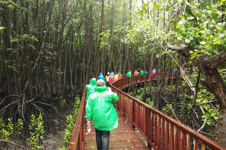Potret Taman Hutan Raya Ngurah Rai (Tahura Ngurah Rai) Denpasar, Bali.