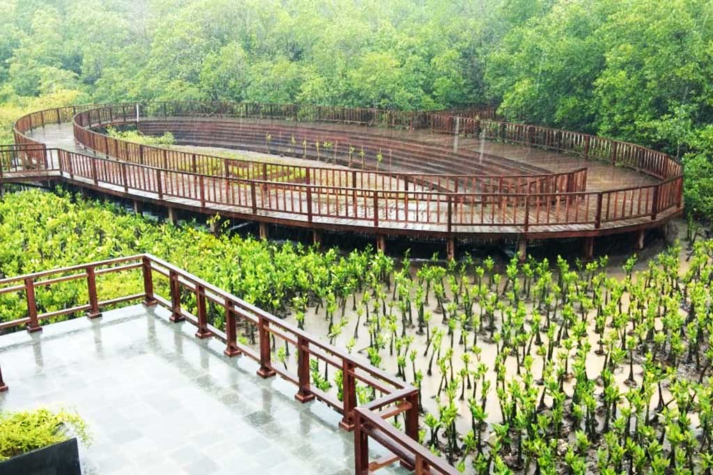 Presiden Joko Widodo dan para pemimpin dunia akan mengikuti berbagai rangkaian agenda Konferensi Tingkat Tingg (KTT) G20 di Bali. Salah satu agenda yaitu melakukan penanaman mangrove di Taman Hutan Raya Ngurah Rai (Tahura Ngurah Rai) Denpasar, Bali, pada Selasa, 15 November 2022.