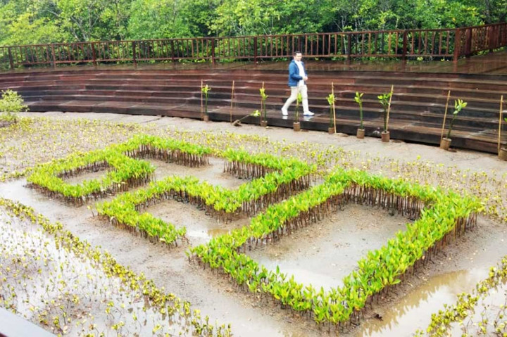 Dikutip dari akun Twitter Kementerian Lingkungan Hidup dan Kehutanan (KLHK), Jumat, 11 November 2022, penanaman mangrove ini bertujuan untuk menekankan pentingnya hutan bakau dalam penanganan krisis iklim.